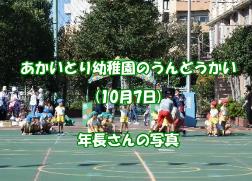 あかいとり運動会 スライドショー